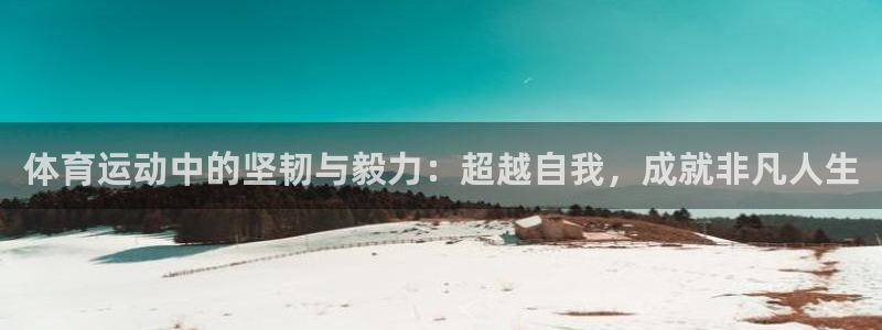 3377体育官网下载
