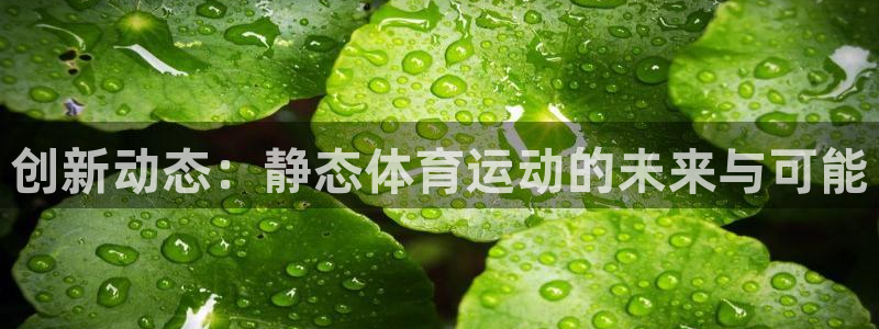 3377体育靠谱吗
