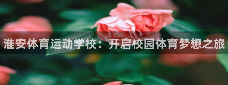 3377体育官网入口网页版