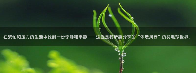 3377体育中国官方网站入口