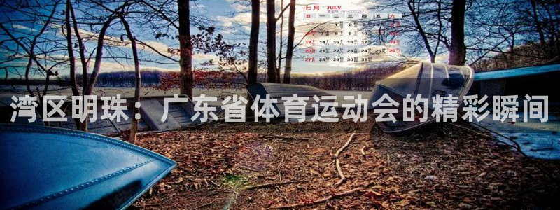 3377体育app官方下载