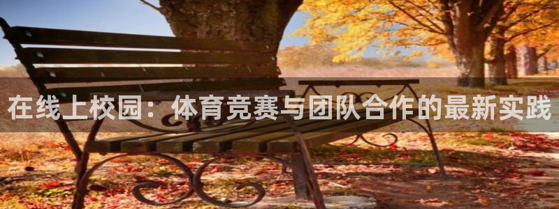 3377体育官网下载