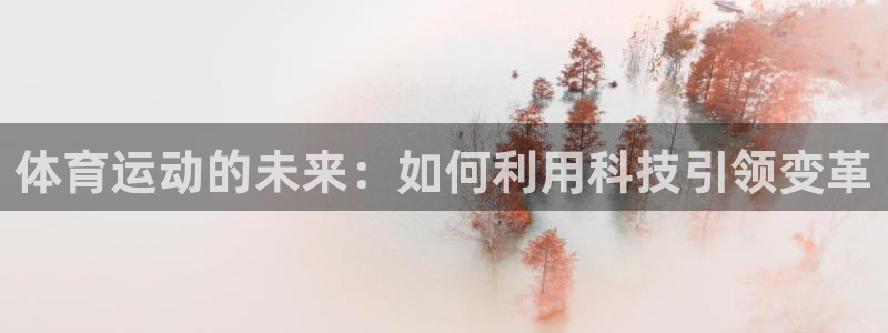 3377体育是正规的吗