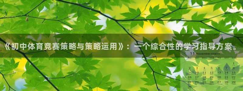 3377体育中国官方网站入口：《初中体育竞赛策略与策略运用》：一个综合性的学习指导方案。