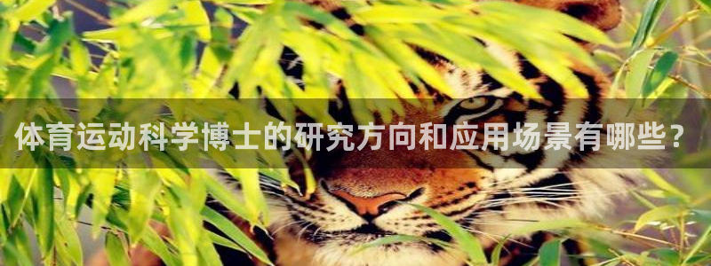 3377体育全网