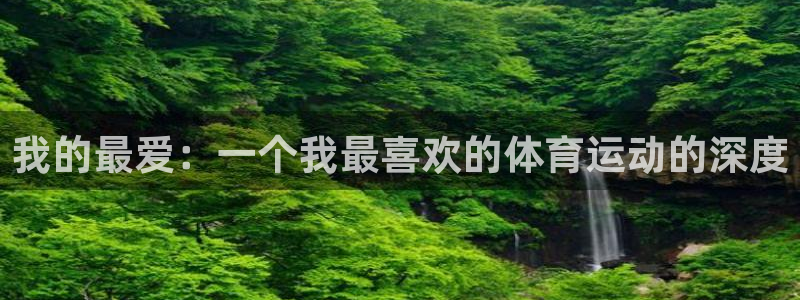 3377体育在线：我的最爱：一个我最喜欢的体育运动的深度