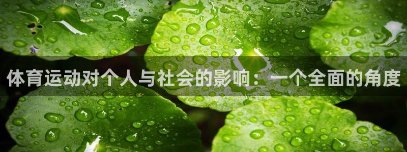3377体育全网：体育运动对个人与社会的影响：一个全面的角度