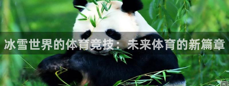3377体育：冰雪世界的体育竞技：未来体育的新篇章